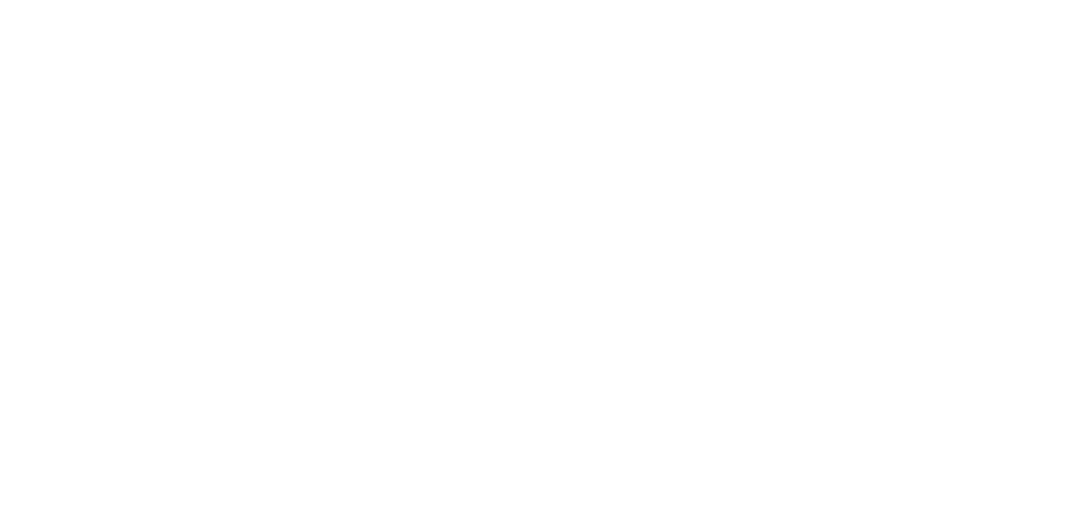 雅な宴に心躍る